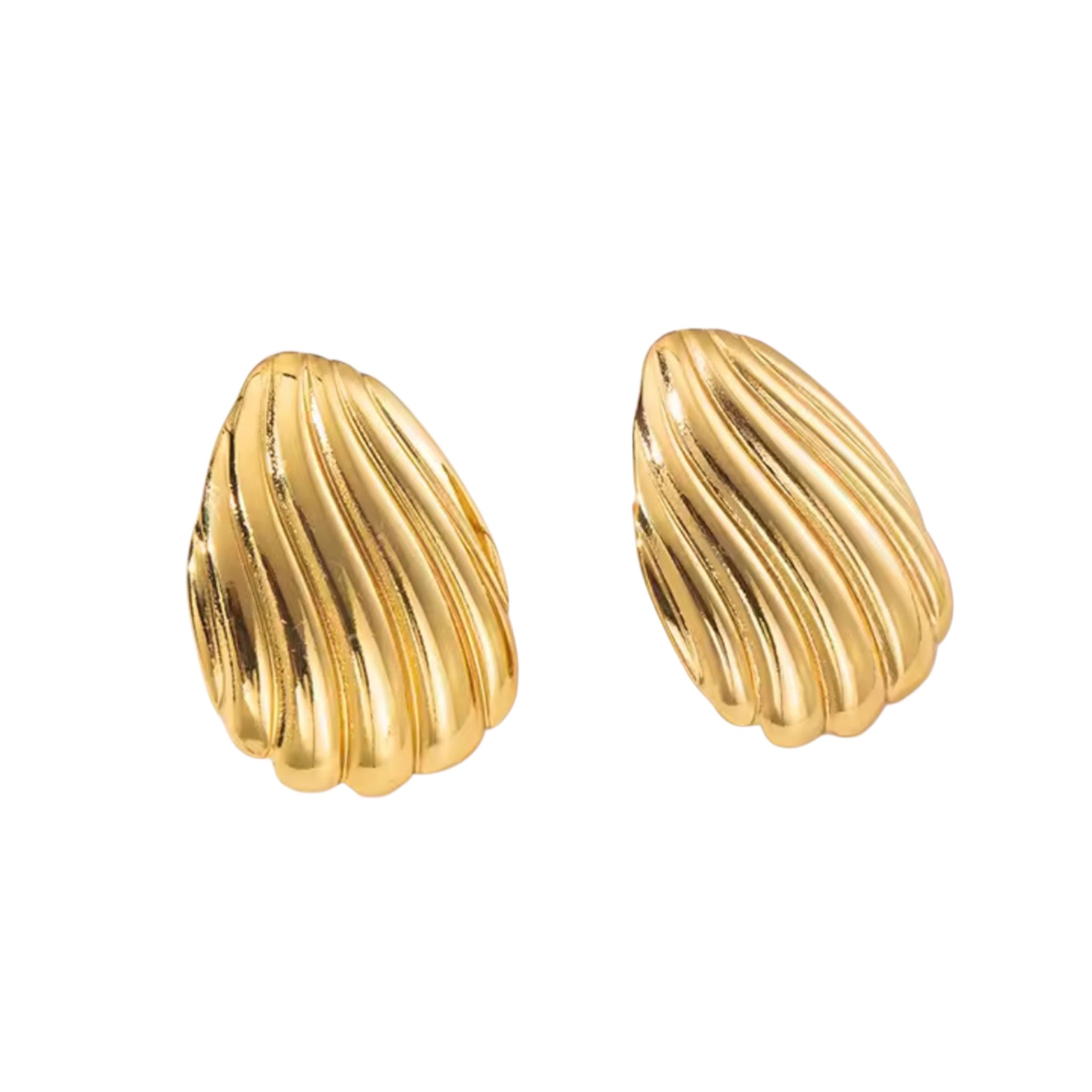 Marina Shell Stud Earrings